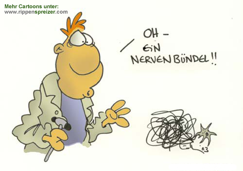 Nervenbndel
