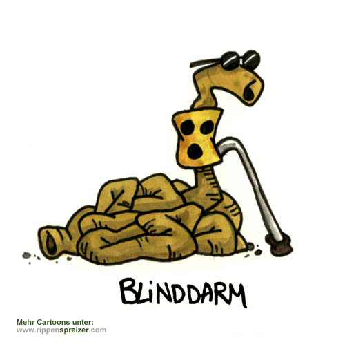 Blinddarm