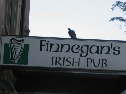 Finn`s Pub.