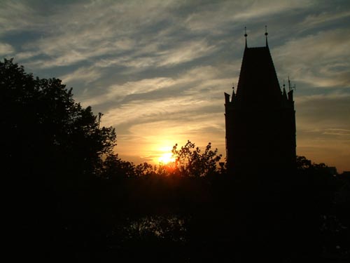 Rettungshund 0820AI