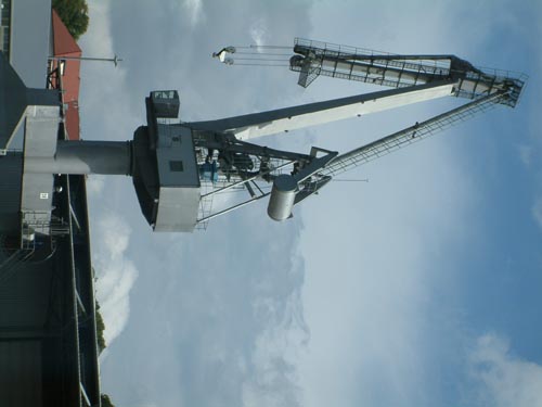 Rettungshund 0821BG