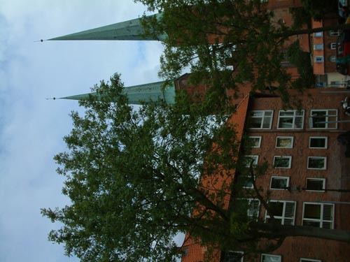 Rettungshund 0821BO