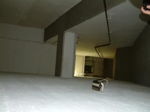 Rettungshund 0821CZ