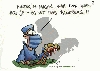 Pankreas