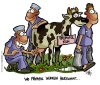 Propofol-Kuh...