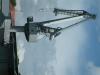 Rettungshund 0821BG