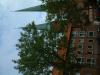Rettungshund 0821BO