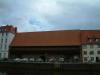 Rettungshund 0821BV