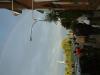 Rettungshund 0821EA