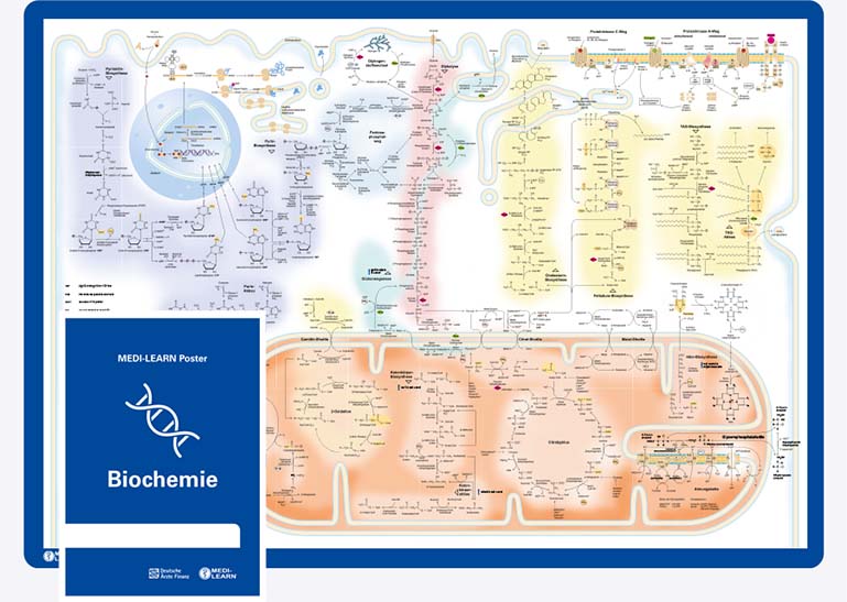 Biochemie Poster