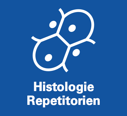 Histologie Repetitorium