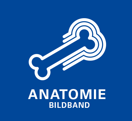  Anatomie Bildband
